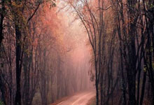 完美体育·WM：[亚冬会]亚冬会开幕式主创团队举行新闻发布会.