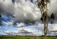 365wm完美体育:20/21賽季歐冠1/8決賽次回合皇家馬德裏3-1亞特蘭大 本澤馬破門拉莫斯點球建功.