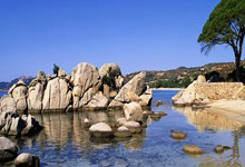 365wm完美体育:【翻译团】11次被过无妨,一脚传球致命,红军如何助阿诺德智取多库?.